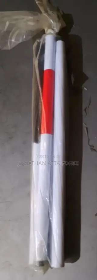 Whitecanes for the Blind Movement