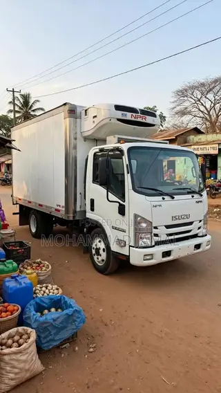 Izuzu NPR Refrigerated 2010 White