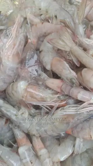 Fresh Clean Prawns and Shrimps