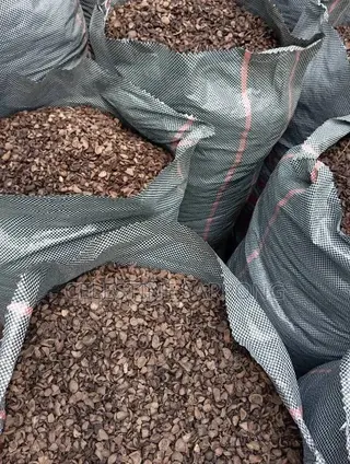 Palm Kennel Shells