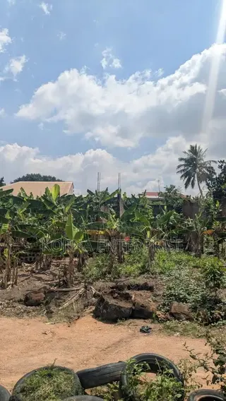 Borteyman: 2 Residential Plots for Sale