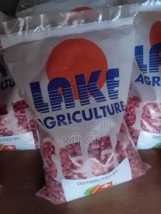 Maize Seed (White Corn)