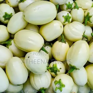 Garden Egg Seeds