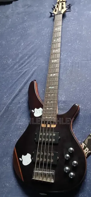 Bass Guitar