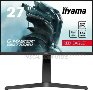Gaming Monitor