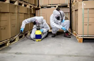 T Advance Pest Solution