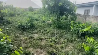 Registered Land for Sale