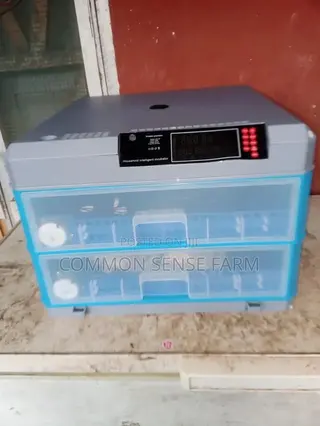 Egg Incubator