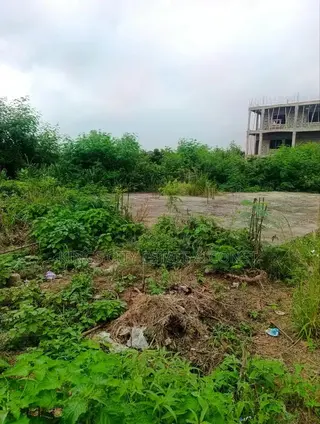 1 Plot of Land With Document for Sale at Odumasi Estate