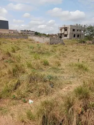 Estate 3 Plots of Land