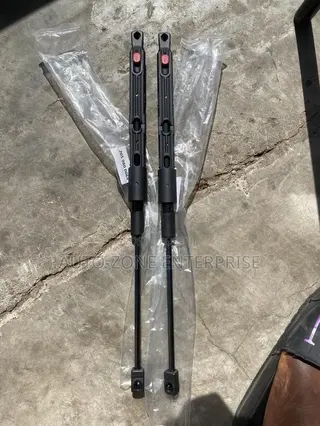 Mercedes Benz C300,C250 Front Hood Lift Support Struts/Bonnet Shocks