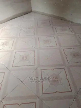 Professional Tiler