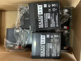 Sealead Battery 12V 4.5ah Battery