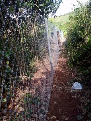 40ft Chain Link Fencing