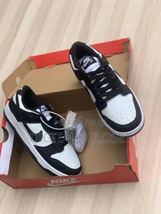 Brand New Nike Sb in All