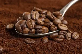 Coffee Beans