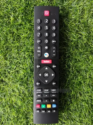 Panasonic Voice Remote