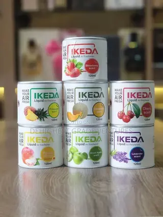 Air Freshener 120g