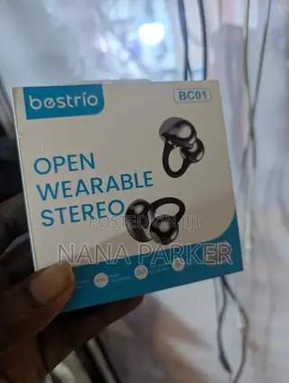 Bestro Earbuds