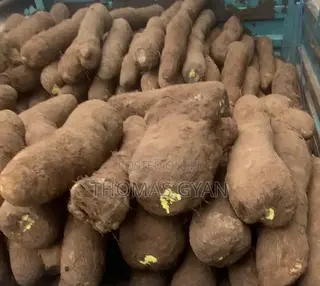 Fresh Farm Yams