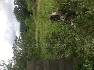 2 Plot of Land for Sale at Ejisu Boankra