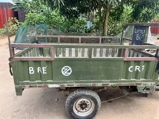 Tricycle 2021 Green