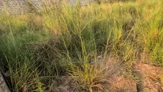 Fully Titled 100 X 70 Ft Plot Behind China Mall, Amrahia