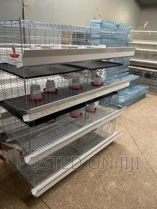 Brooding Cage/ Dayold Cage