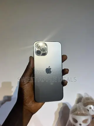Apple iPhone 12 Pro 256 GB Gray