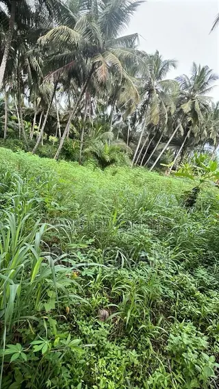 3 Acres (12Plots) Available at Agona Swedru,Pipetank