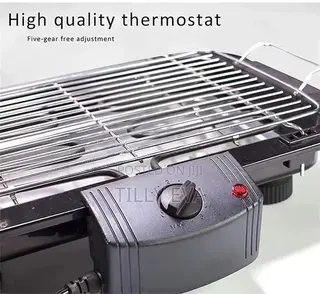 Mini Electric Barbecue Grill