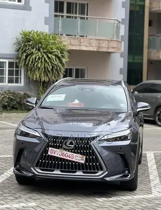 Lexus NX 350 AWD 2024 Gray