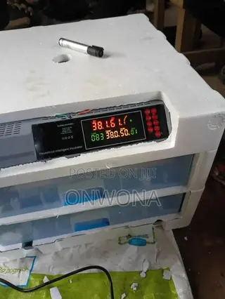 Eggs Incubator