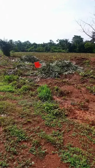 Farm Land for Sale