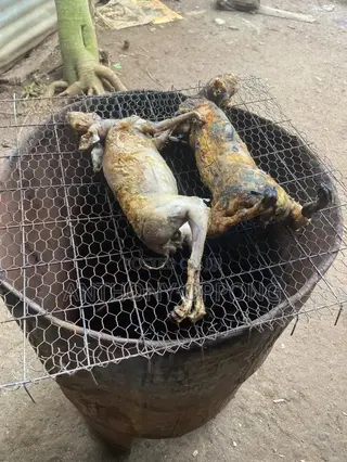Rabbit Meat Smoked Fresh