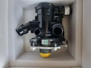 Water Pumps and Thermostat Assembly