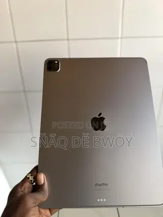 Apple iPad Pro (2022) 1 TB Gray