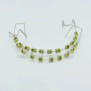 Fashion Braces