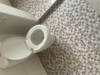 Clean and Sparkle