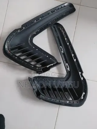 Hyundai Elantra Forg Light Cover