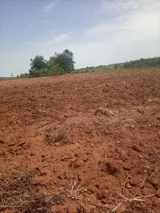 Alpha Properties Estate Land for Sale at Kasoa Buduatta