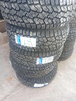 265/65r17 Sailun