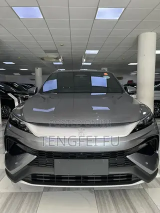 New BYD Song Pro DM-i 2025 Gray