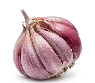 Fresh Garlic