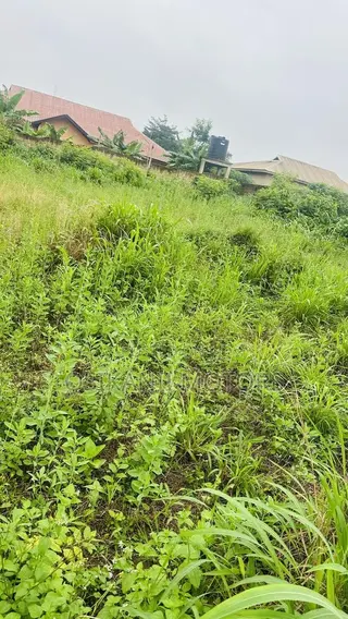 One Plot of Land