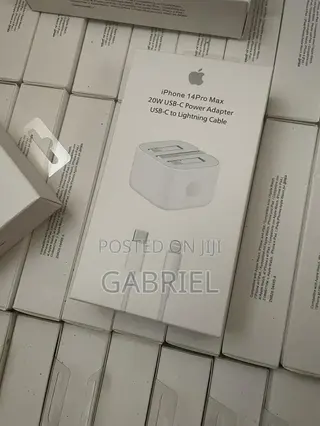 iPhone Charger