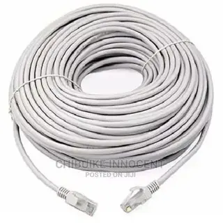 100m Network Cable