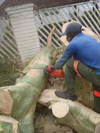Chainsaw Operators in Accra