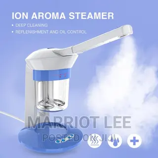 Facial Steamer/ Ion Aroma Steamer Beauty Salon