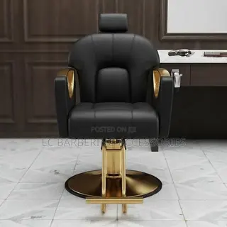 Luxury Black & Gold Hydraulic Salon Styling Chair